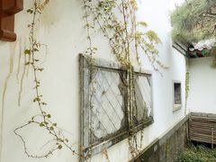 -趵突泉景区