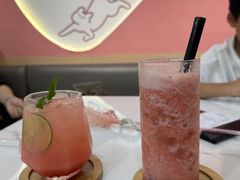 -喵园·猫主题咖啡厅·撸猫·猫咖(国贸店)