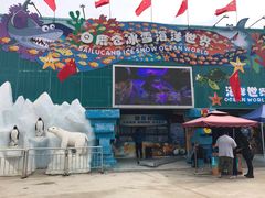 -白鹿仓冰雪海洋世界