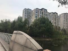 -新江湾城公园