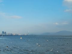 -深圳湾公园(南山区)