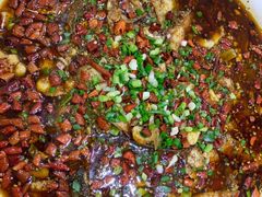 -西木兔(大圆祥店)