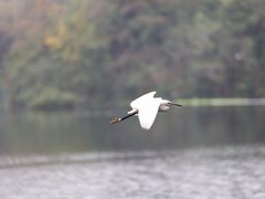 -重庆彩云湖湿地公园