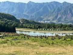 -玉舍国家森林公园