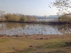 -盘龙城国家考古遗址公园