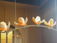 -唐猫庭院·千年陕菜(大唐不夜城店)