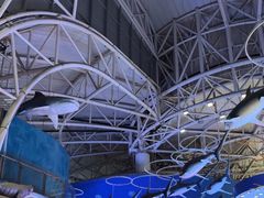 -烟台海昌鲸鲨海洋公园