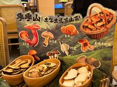 -季季山•云南野生菌火锅(上海首店)