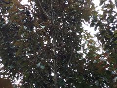 -呼吸森林·生态农庄农家乐私房菜