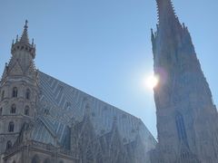 -斯蒂芬主教座堂(Stephansdom)