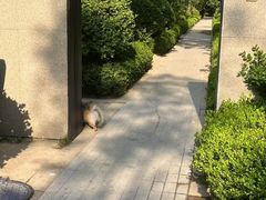 -王府井(地铁站)