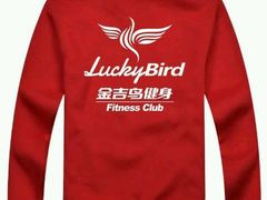 -金吉鸟健身游泳