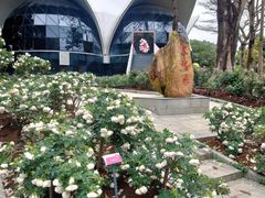 -人民公园(罗湖区)