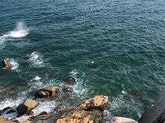 -广东惠东海龟国家级自然保护区