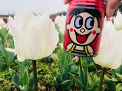 -漩门湾国家湿地公园