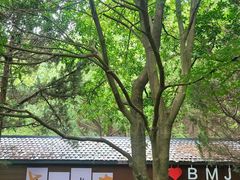 -白马涧龙池景区