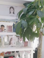 -吉艺心专业美发造型