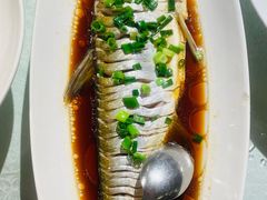 -金美华轩(东方路齐鲁店)