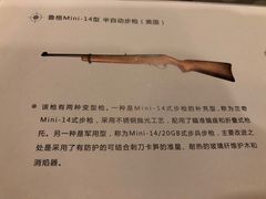 -真枪会射击俱乐部(河西中央公园店)