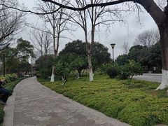 -月湖风景区