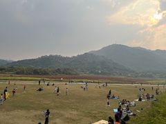 -风云岭森林公园