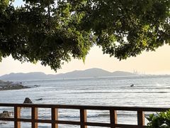 -八大关景区