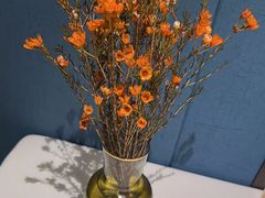 -顺峰(农展馆店)