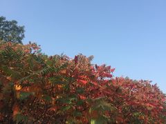 -南翠屏公园