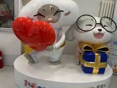 -喜多萌中农锦绣动物医院24H·猫科·牙科MRI·CT