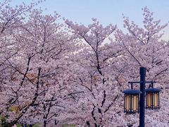 -苏州上方山国家森林公园