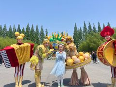 -黄海国家森林公园