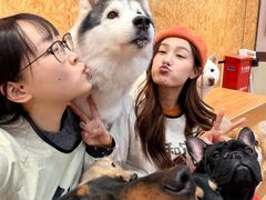 -和它·交个朋友·狗咖猫咖(爱琴海店)