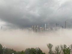 -海棠烟雨公园