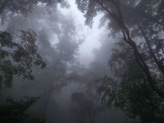 -武当山风景区