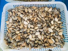 -金渔村海鲜烧烤大排档