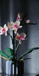 -乐高授权专卖店(新北万达店)