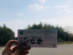 -都江堰中华大熊猫苑