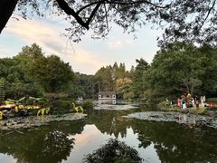 -杭州植物园