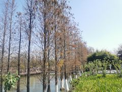 -海珠湖公园