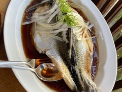 -宁波柏悦酒店·钱湖渔港