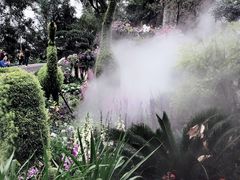 -深圳仙湖植物园-停车场