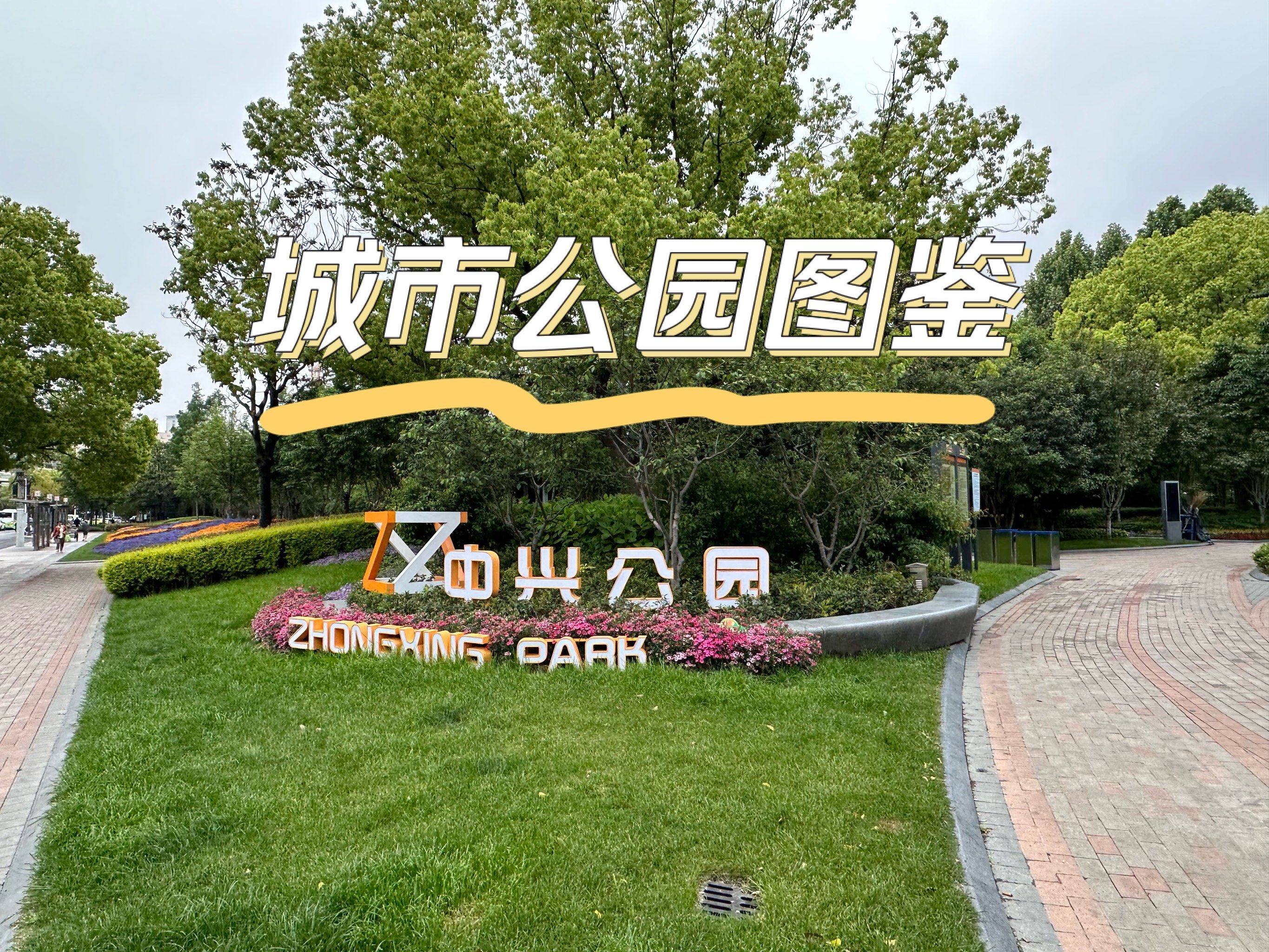 新路的中间地块
无围墙的24小时全开放公园
面积不大但是错落有致
