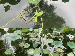 -长春市南湖公园