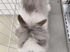 -小意思咖啡店(草桥店)