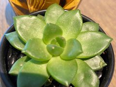 -粤海喜来登酒店·&More聚驿(天河城店)