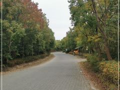 -上海海湾国家森林公园