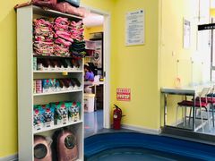 -瑞鹏宠物医院·爱宠堂·骨外专科(西荷分院)