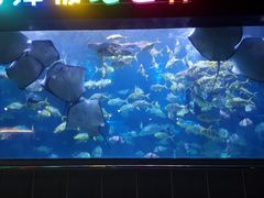 -蓬莱欧乐堡海洋极地世界