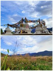 -纳帕海依拉草原
