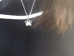 -彩虹桥宠物火化殡葬善终服务(金乐大厦店)